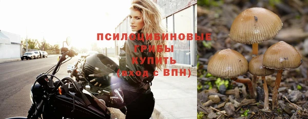 ALPHA-PVP Алексеевка