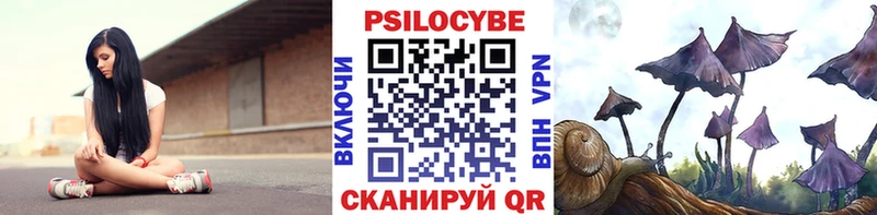купить наркотик  Никольское  Галлюциногенные грибы Cubensis 